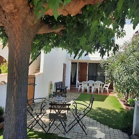 Petit Appartement Aux Stes Maries De La Mer 圣马迪拉莫 外观 照片