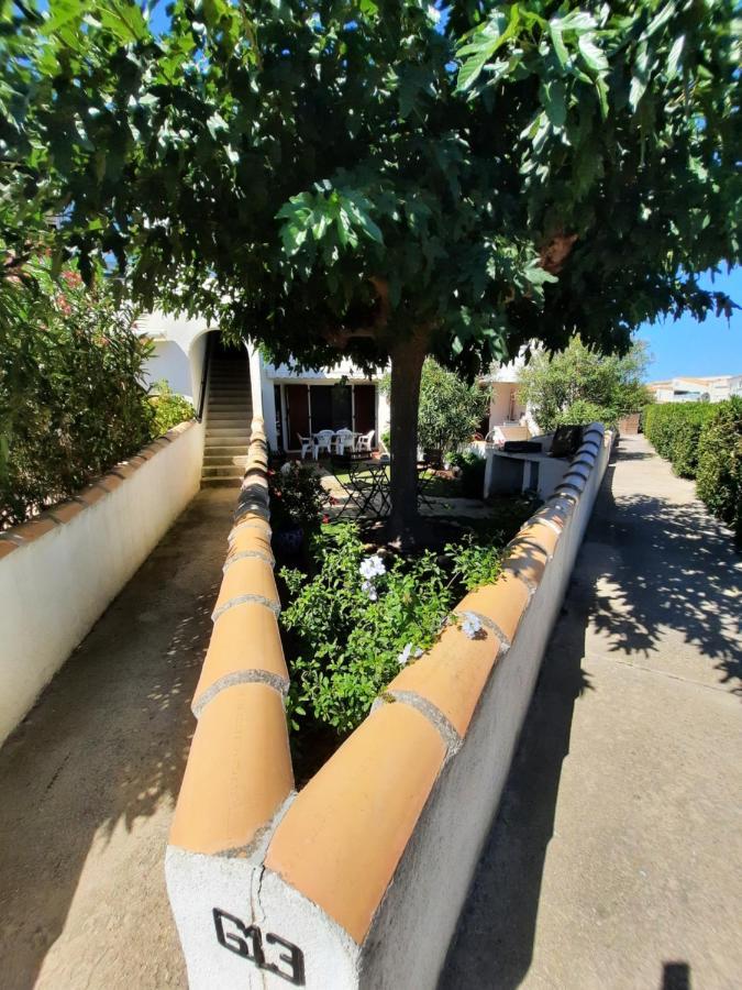 Petit Appartement Aux Stes Maries De La Mer 圣马迪拉莫 外观 照片